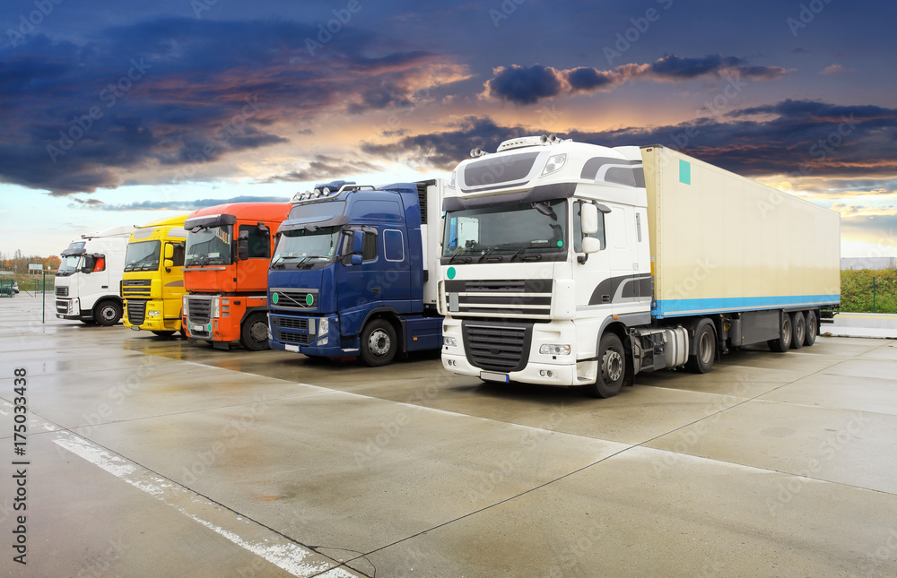 Транспорт логистика. Волшебный переезд. Freight forwarding. Rex freight forwarder. Грузоперевозки дорожные бренды.