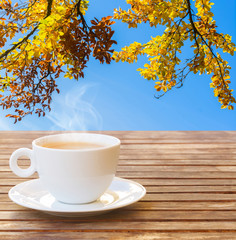 one white coffee cup in autumn garden on wooden table