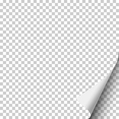 Wall Mural - Vector transparent paper with curled lower right corner and soft shadow. Template paper design.
