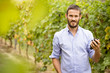 © Giorgio Pulcini - Man in the vineyards picking vine grapes