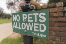 Green No Pets Allowed Sign