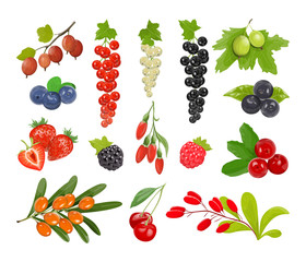 Wall Mural - Isolated berries set.