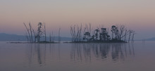 Dark And Gloomy Landscape Of An Island On A Lake