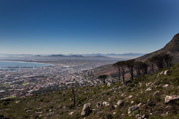 Cape Town