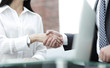 © ASDF - close-up of handshake businessman and business woman.