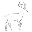 Standing black line deer on white background. Hand drawing vector graphic animal.