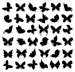 Wall Mural - Butterflies set. Vector