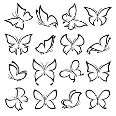 Wall Mural - Butterflies set. Vector