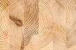 Wood structure background. Lumber industrial wood texture, timber butts background. Butt end of a processed wooden beam. Glued beams