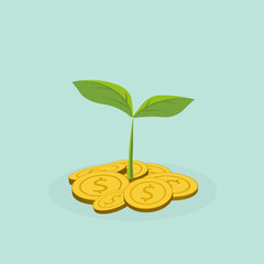 Plant Growing In Savings Coins - Investment And Interest Concept ,Business investment growth concept,with stack money coin