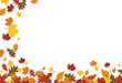 Bright Falling Fall Autumn Leaves Horizontal Border 1