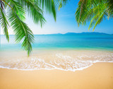Fototapeta Morze - Palm and tropical beach