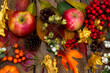 Thanksgiving background with apples, rowan, cones, golden maple leaves