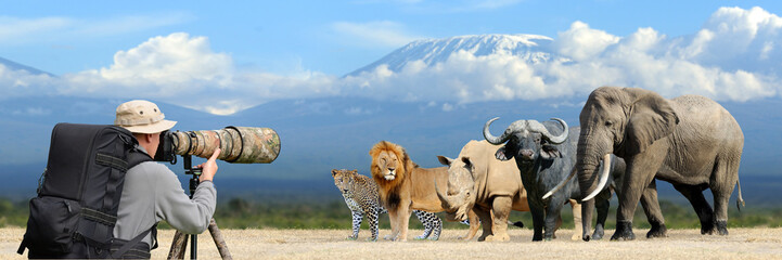 Wall Mural - Professional wildlife photographer