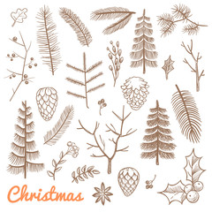 Sticker - Hand drawn fir and pine branches, fir-cones. Christmas and winter holidays doodle vector design elements