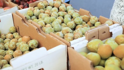 Wall Mural - Organic fruits and vegetables at the local Farmer's Market