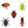 Collection of colorful bug icons on vector illustration