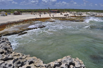 Wall Mural - Rocky Coast on Eastern Side of Cozumel, Mexico