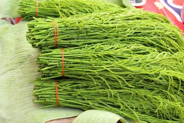 Acacia pennata for cooking in the market