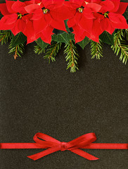 Wall Mural - Fir-tree twigs and poinsettia flowers edge and ribbon bow