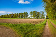 panoramic field in the spring