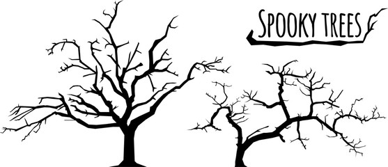 trees silhouettes on the white background