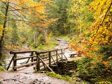 A Wooden Bridge Over A Stream In The Forest. Autumn