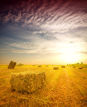 Hay Bale In The Countryside