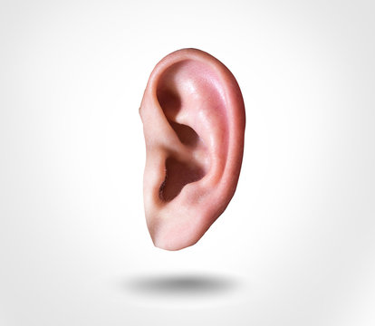 Fototapete - human ear isolated on white background
