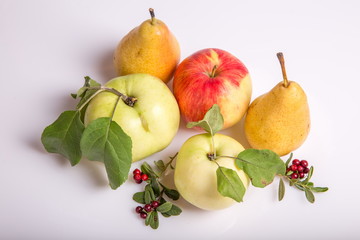 Wall Mural - Apples, pears and cowberry on white background