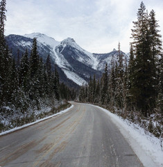 Lonely road in Alberta, Canada