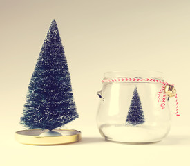 Wall Mural - Small Christmas trees with one in a glass jar