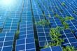 Solar panels (solar cell) in solar farm with green tree and sun lighting.Photovoltaic plant station