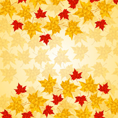 Wall Mural - maple leaves in triangular style. vector illustration. eps 10