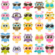 Set of colorful owls with glasses isolated on white
