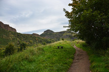 Path To Arthur's Seat Through The Hollyrood Park Near Edinburgh, Scotland