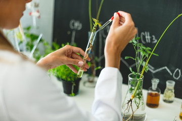 Biologist working in laboratory