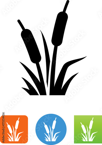 Fotografía Cattail Wetland Plants Icon
