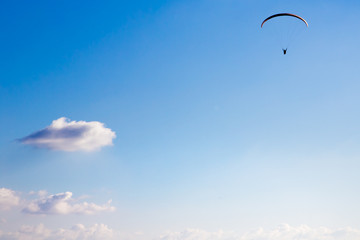 Paraglider flies in the blue sky.