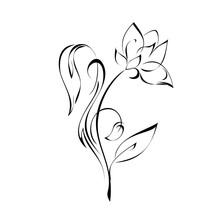 Ornament 139. Stylized Flower In Black Lines On A White Background