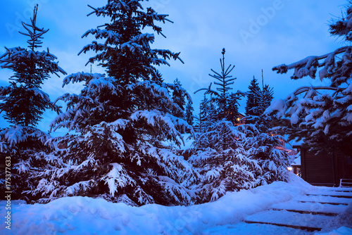 Fotografie, Obraz A fairy-tale house in the woods amid the snow-covered fir trees, Christmas landscape