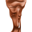 A flow of beautiful, realistic melted chocolate. Flowing melting chocolate (cocoa) wave with swirl, funnel, splash, drip. Vector illustration