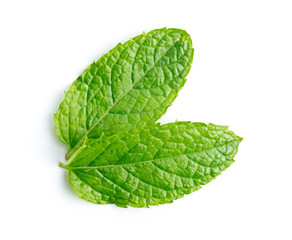 Poster - Green mint leaves.