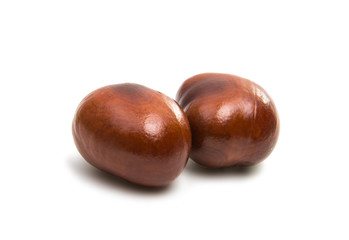 Wall Mural - chestnut isolated