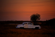 A Vintage Four Door Car Abandoned In A Pasture With A Tree Growing Through The Hood In A Sunset Prairie Landscape