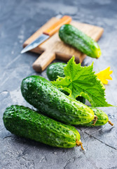 Poster - cucumbers