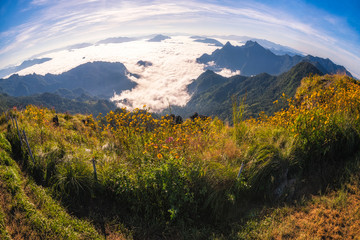  The peak of mountain and Mist at Phu chi fa in Chiangrai,Thailand