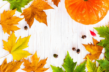 Fototapete - Autumn leaves on white background