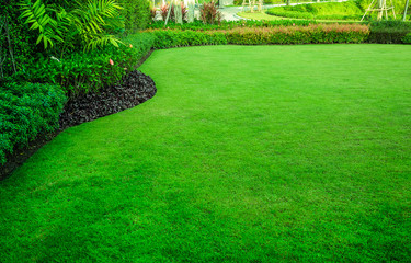 decorative garden, green lawn, the front lawn for background.