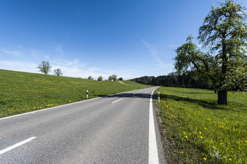 Canvas Print - Asphalt road between  meadows  in Switzerland